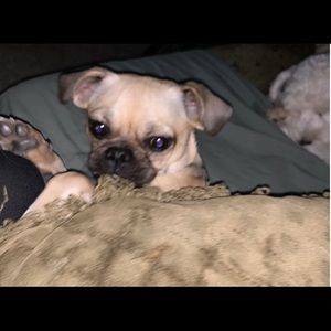 Meet your Posher, Kim